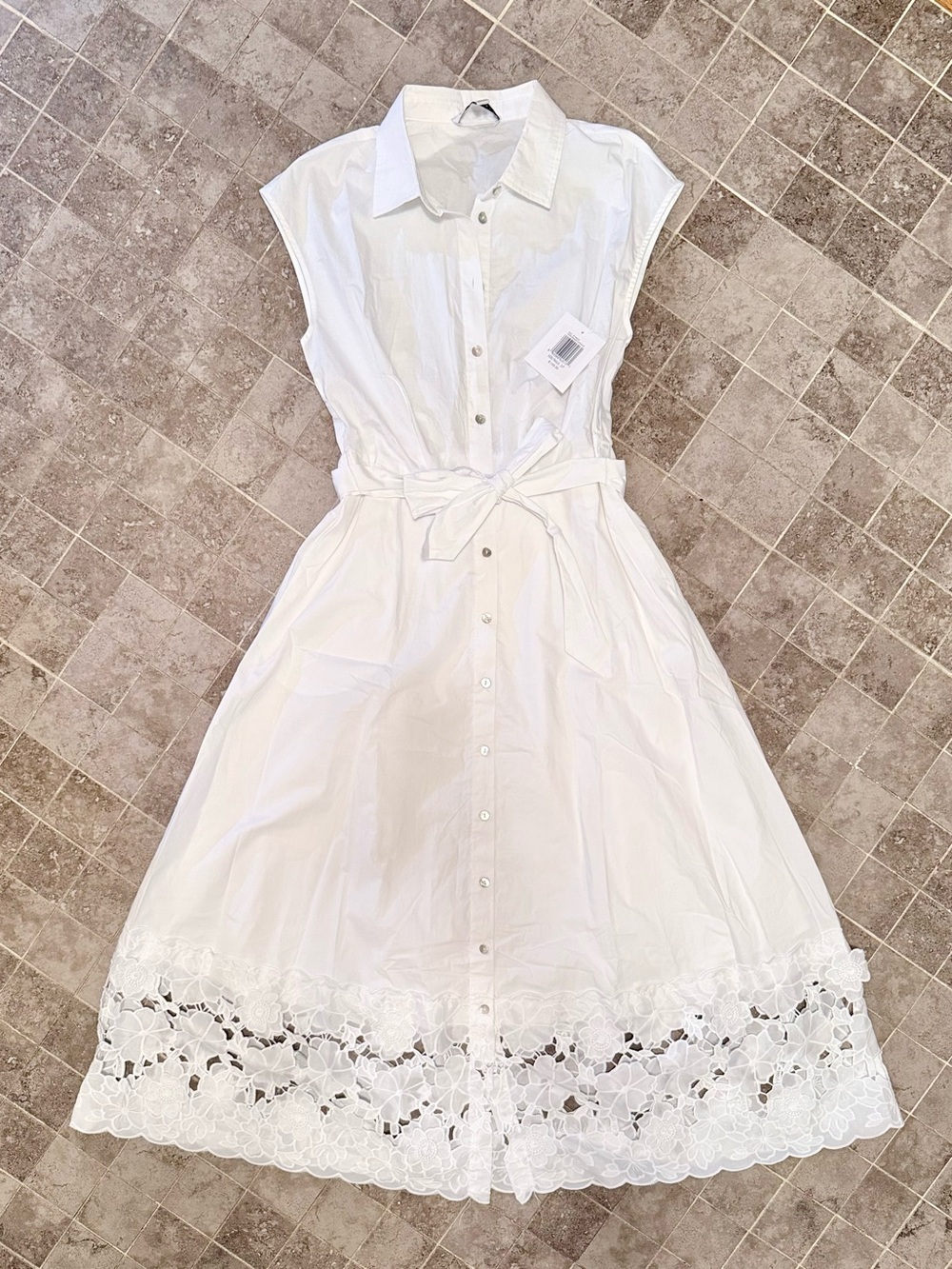 Ellen Tracy Maxi Dress with Lace Hem